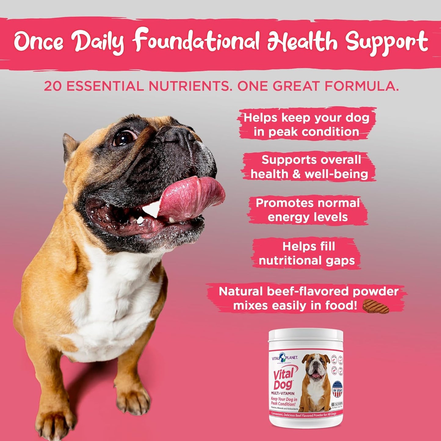 Beef Flavored Dog Multi Vitamin Powder Supplement with Minerals & Antioxidants - 30 Servings, 75g - Vital Planet Vitality for Dogs