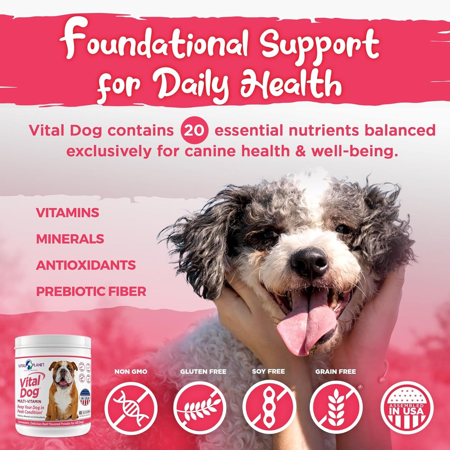 Beef Flavored Dog Multi Vitamin Powder Supplement with Minerals & Antioxidants - 30 Servings, 75g - Vital Planet Vitality for Dogs