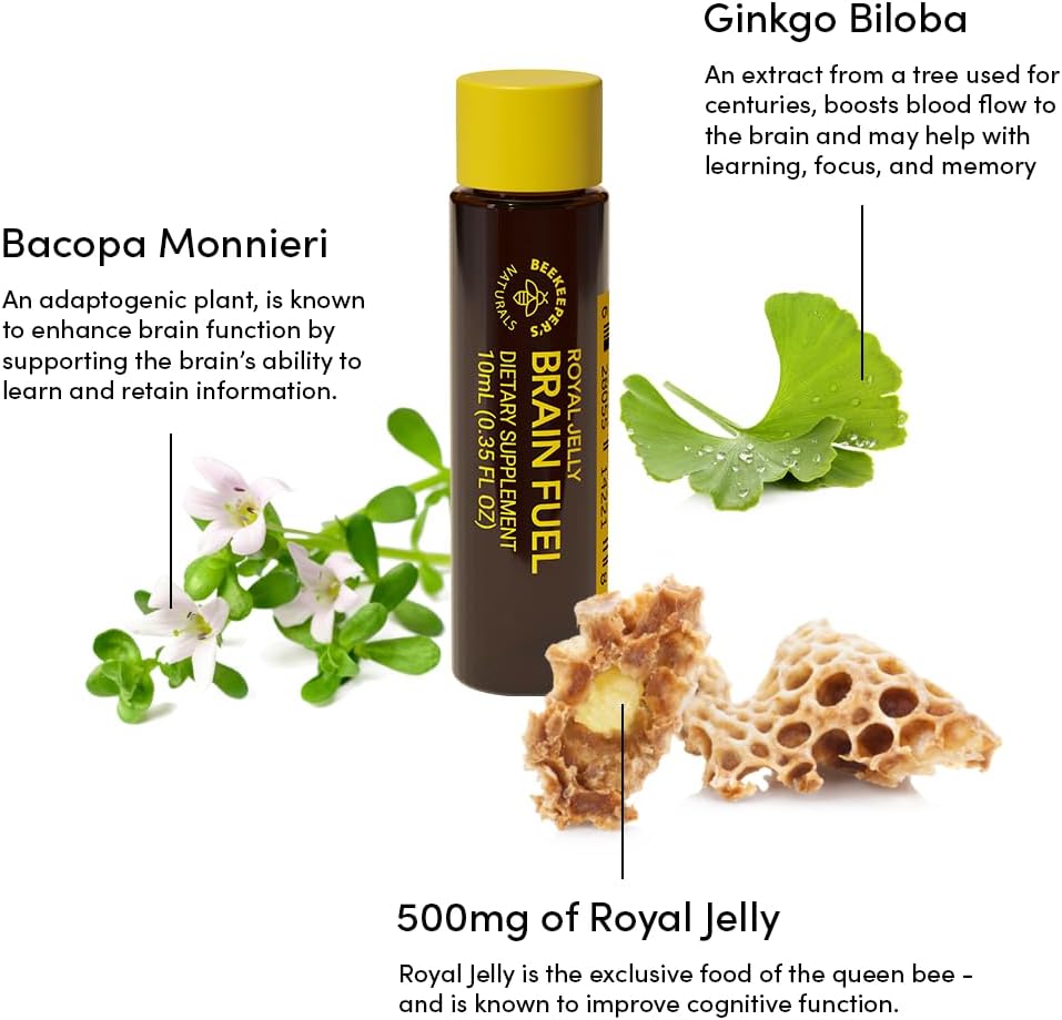 BEEKEEPER'S NATURALS B.LXR Brain Fuel Liquid Formula - Memory, Focus, and Clarity Support with Royal Jelly, Ginkgo Biloba, Bacopa Monnieri - Keto Friendly and Caffeine-Free (6 ct) - BoostGo Australia