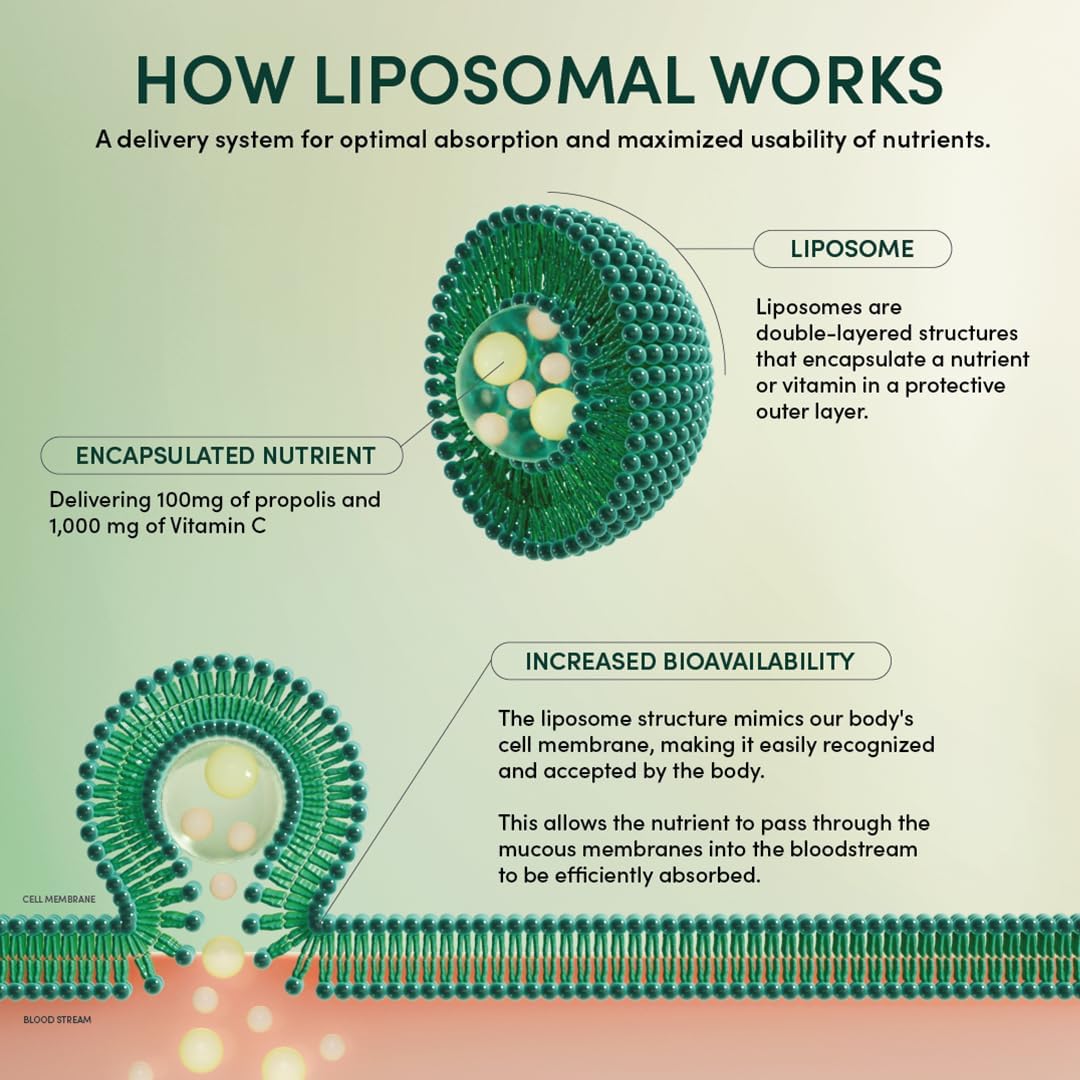 Beekeeper's Naturals Propolis Liposomal with Vitamin C for Enhanced Immune Support, 30 Ct