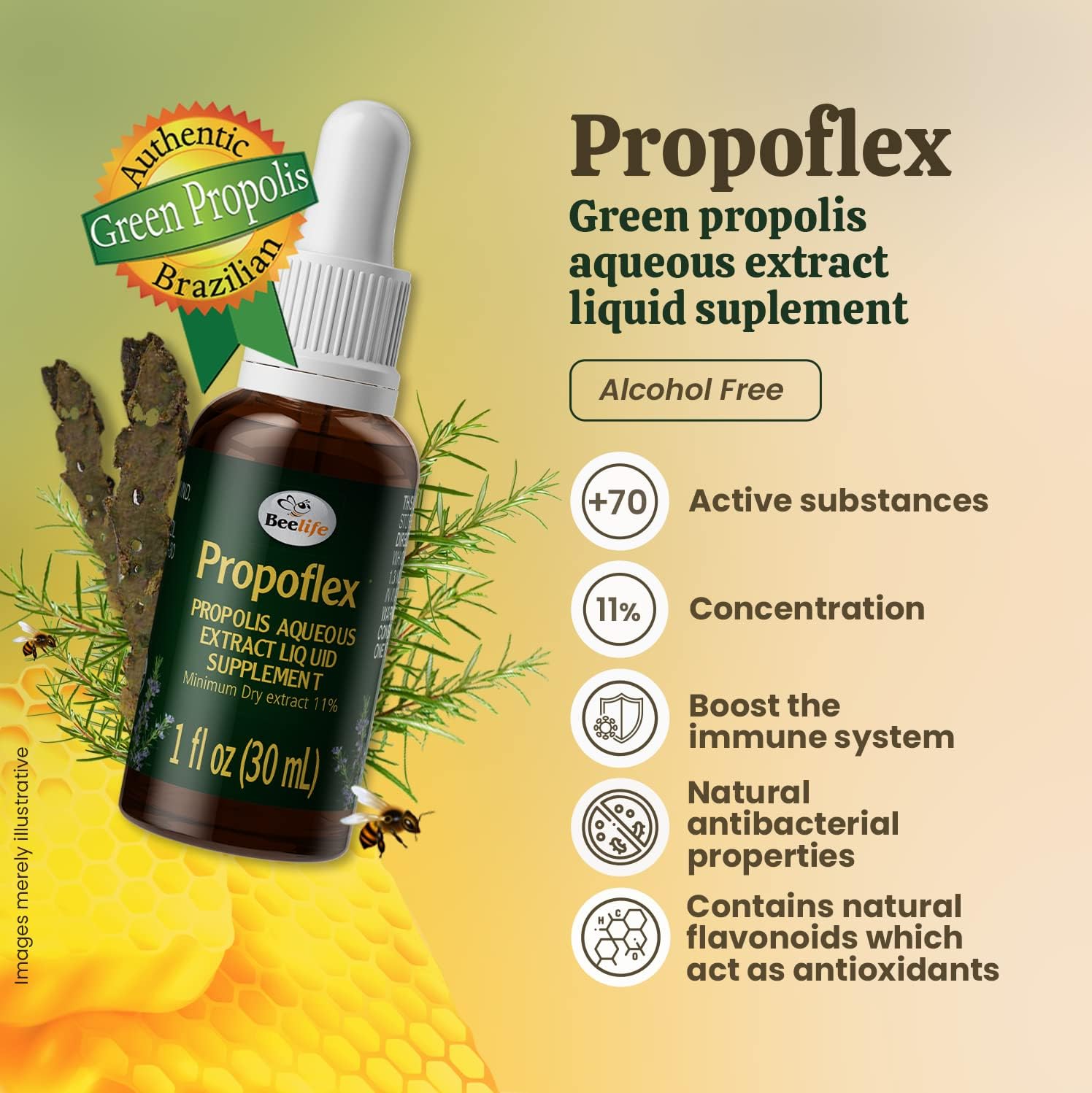 Beelife Propoflex Green Propolis Extract - Alcohol-Free Bee Propolis Tincture with High Artepillin-C - Antioxidant-Rich Liquid Supplement - Natural & Kosher - 1 Fl. Oz.