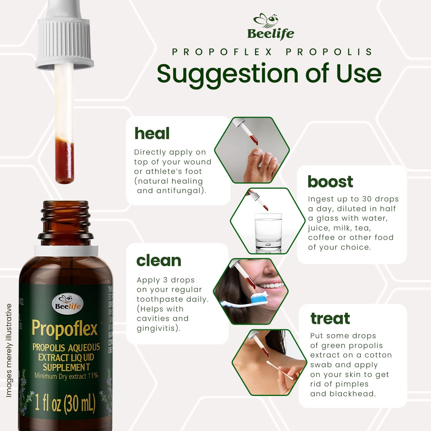 Beelife Propoflex Green Propolis Extract - Alcohol-Free Bee Propolis Tincture with High Artepillin-C - Antioxidant-Rich Liquid Supplement - Natural & Kosher - 1 Fl. Oz.