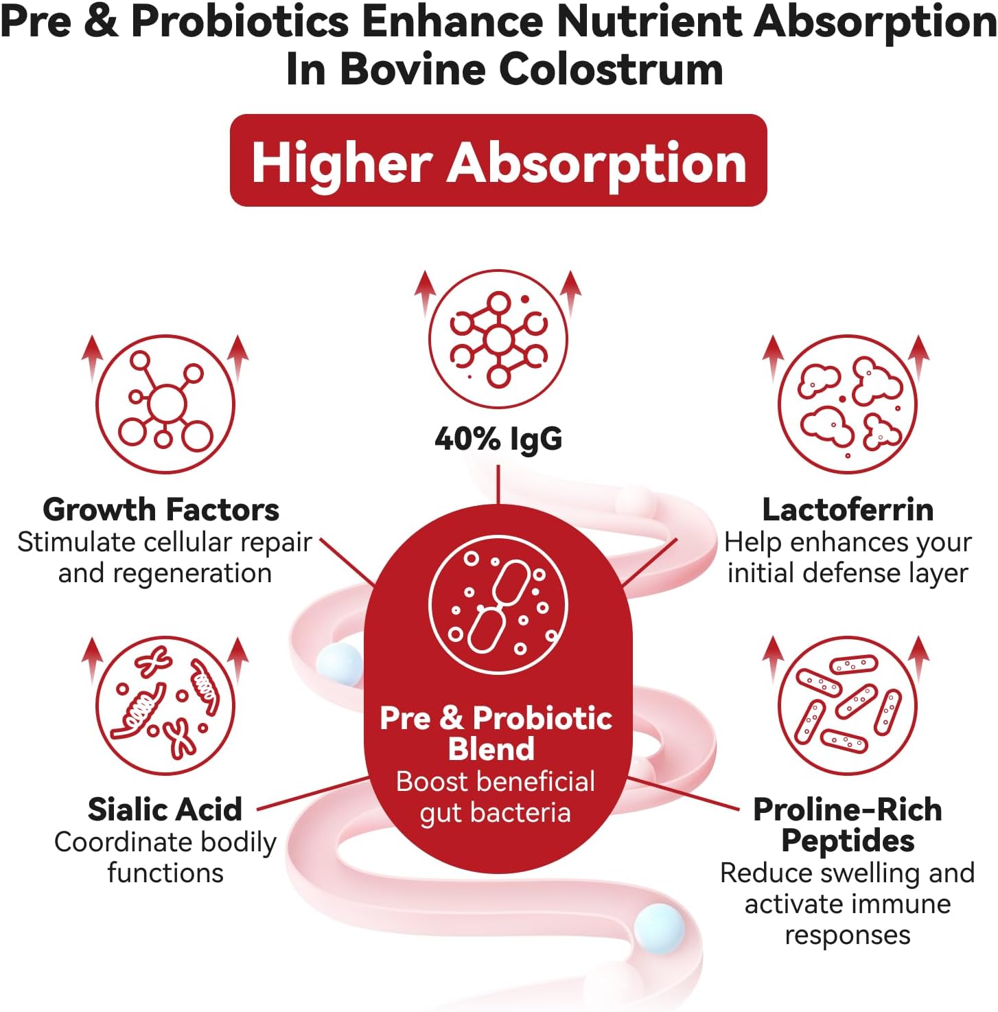 Berberine 1300mg with Green Tea Extract, Resveratrol, CoQ10 & Colostrum Supplement Powder - Metabolic & Gut Health Support, Immune Boost - 30 Servings