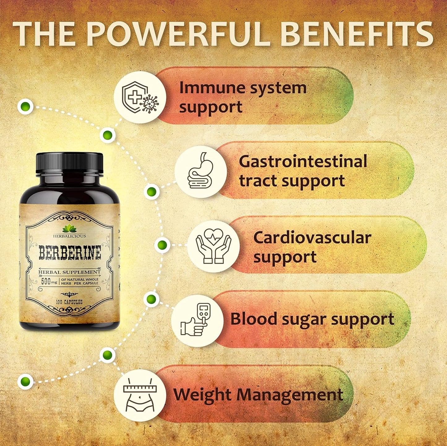 Berberine HCL Dietary Supplement - 100 Capsules for Immune Support, Heart Health, and Cholesterol - Non-GMO Berberine 500mg for Men and Women