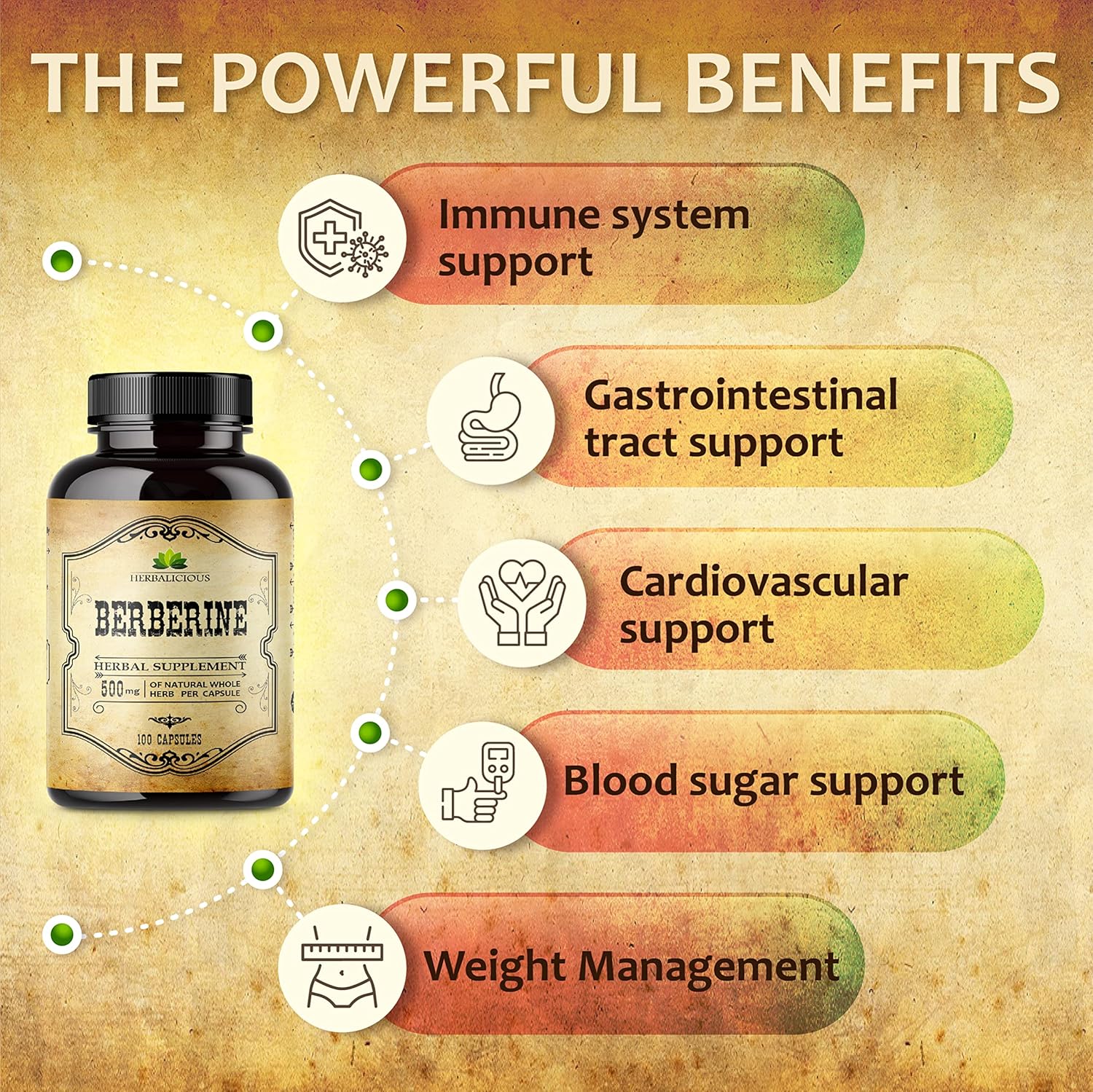 Berberine HCL Dietary Supplement - 100 Capsules for Immune Support, Heart Health, and Cholesterol - Non-GMO Berberine 500mg for Men and Women