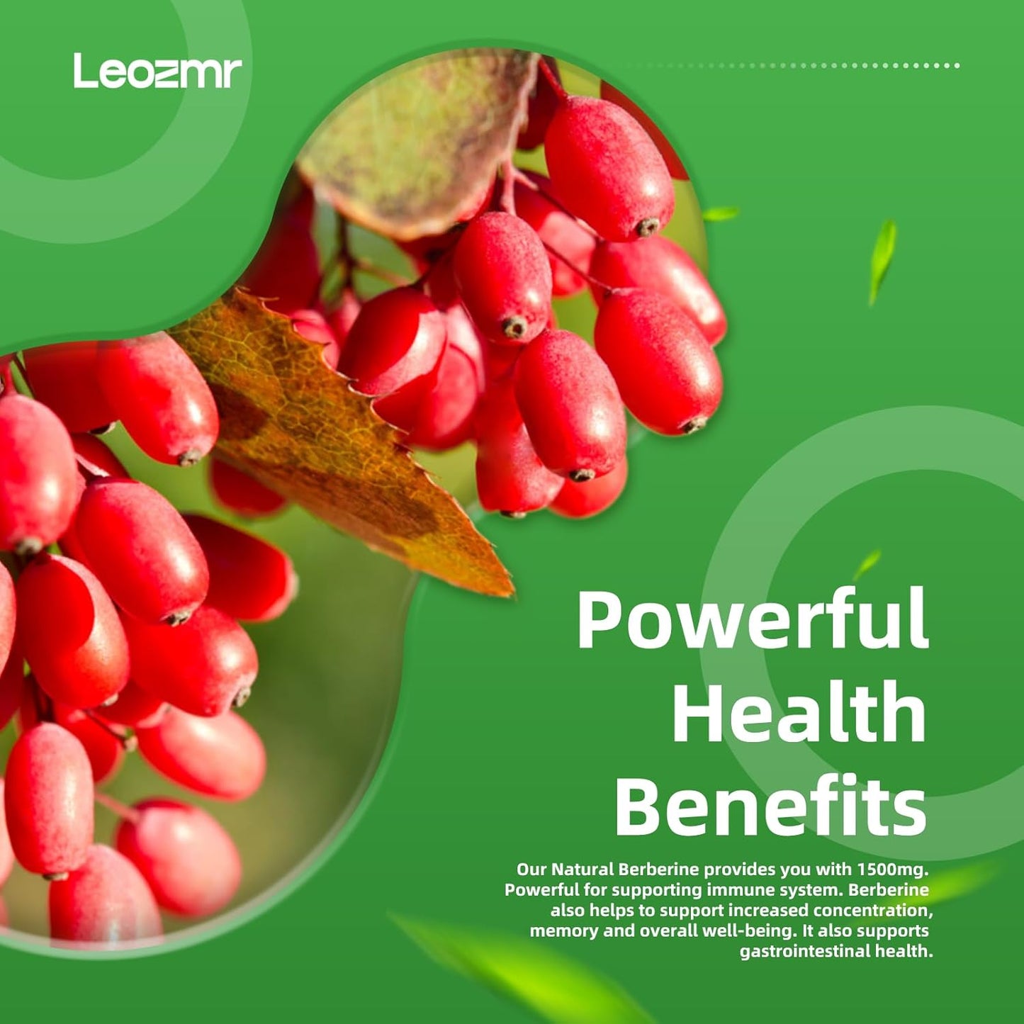 Berberine Supplement with 1500mg Per Serving - 120 Capsules with Pure Ceylon Cinnamon - Root Supplements Pills