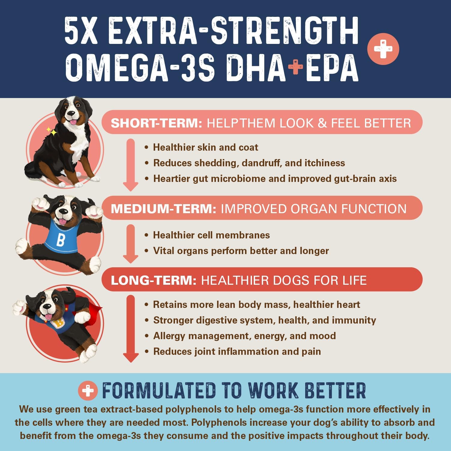 Bernie's OMG!!! Omegas 5X Extra Strength Omega-3 Chews for Dogs - Salmon Flavor - Skin & Coat, Allergy Relief, Calming, Joint Supplement