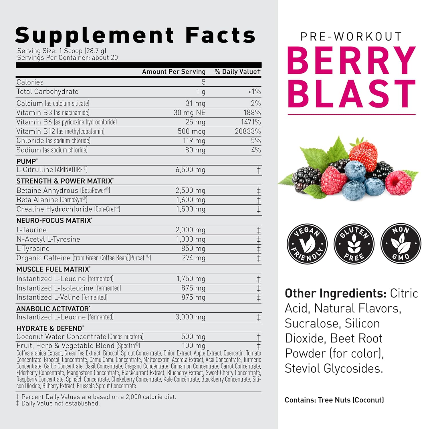 Berry Blast Pre-Kaged Pre Workout Powder with Creatine, Beta Alanine, and Caffeine - 20 Servings