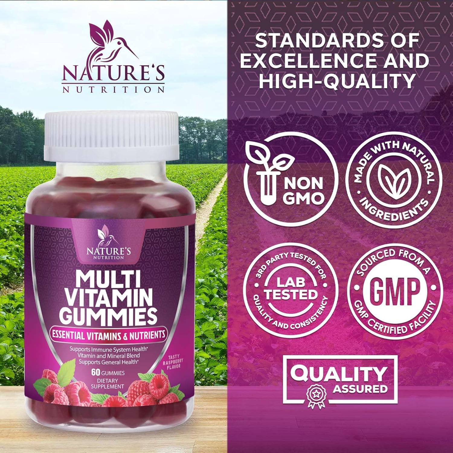 Berry Flavored Nature's Nutrition Multivitamin Gummies for Adults - Immune Health Support with Vitamin A, C, D, E, B6, B12, Zinc & Antioxidants - Non-GMO - 60 Count