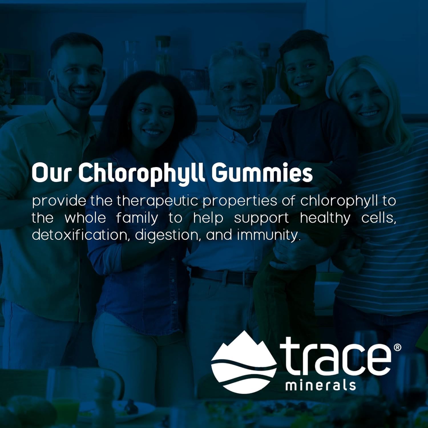 Berry Flavored Trace Minerals Chlorophyll Gummies, 100mg - Promotes Digestive, Immune & Skin Health - Natural Energy & Cell Function Support - High Absorption, 60 Gummies
