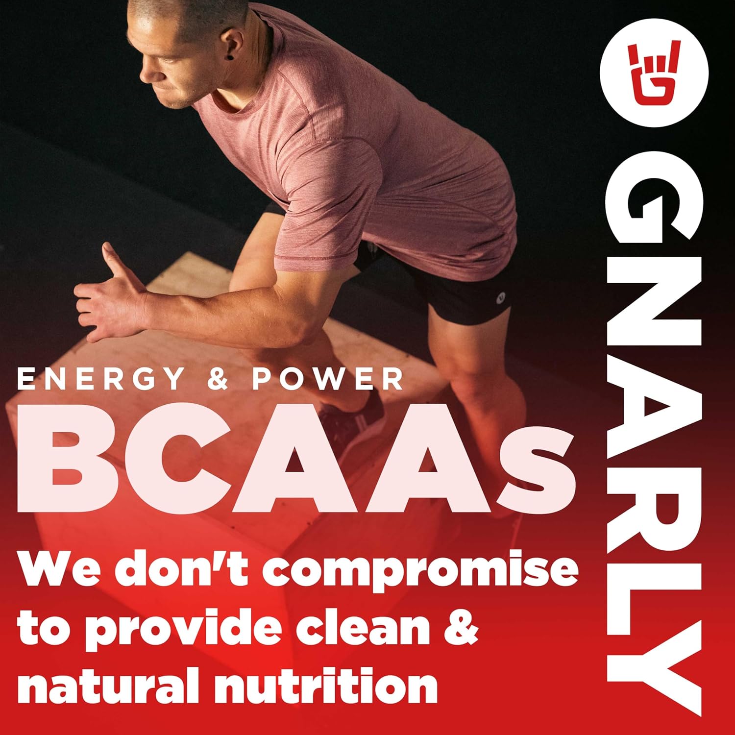 Berry Lemonade BCAAs and Blueberry Açai Performance Greens Bundle (22.22 oz)