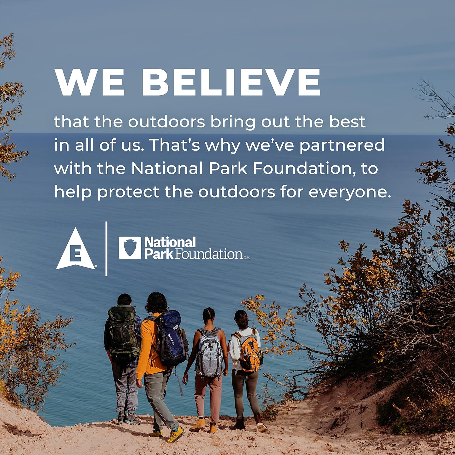 Berry Medley Plant Based Protein Shake - 20g Vegan Protein, Immune Support with Vitamin C & Zinc, Dairy Free, Non-GMO - 12 Pack of 11oz Shakes (Formula May Vary)