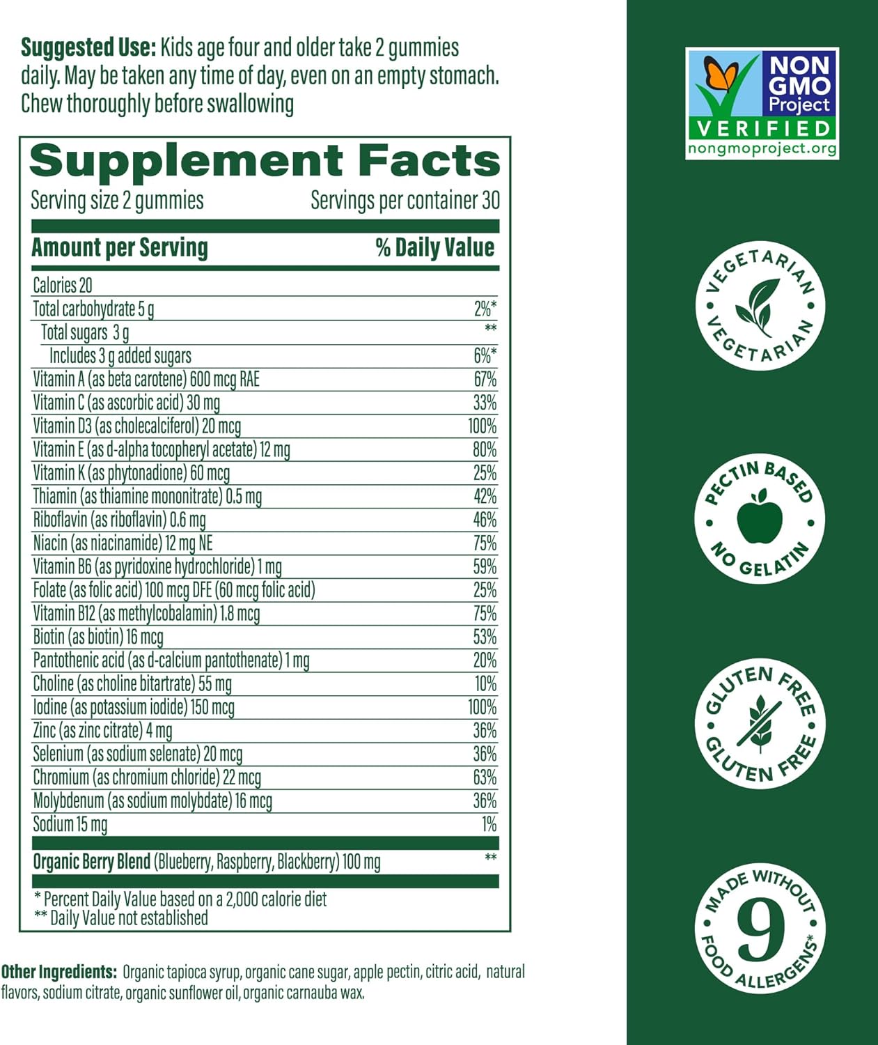 Berrylicious Kids Multivitamin Gummies - Immune & Brain Support - Ages 4+ - Vitamins C, D, Zinc, Choline - 60 Gummies