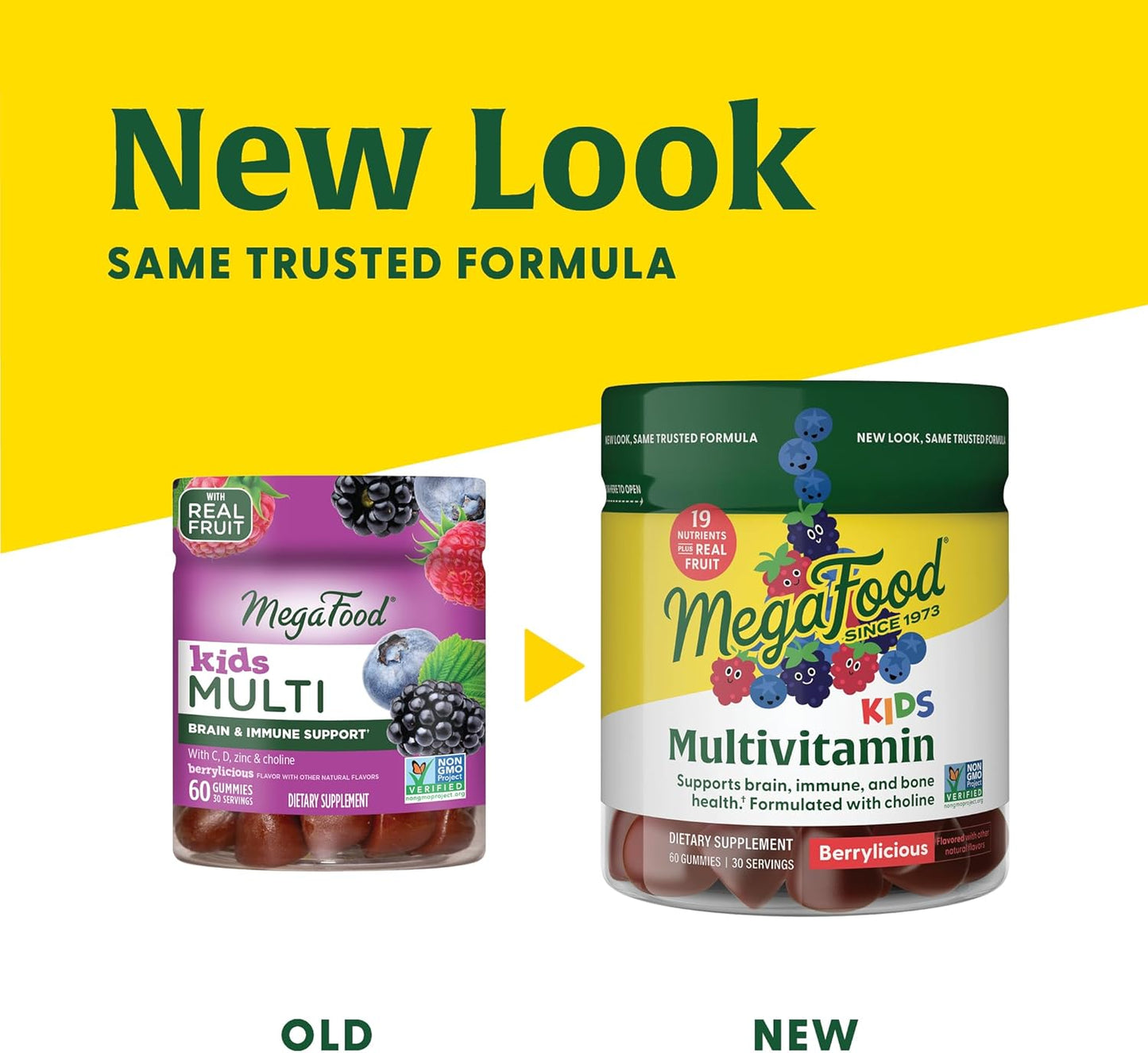 Berrylicious Kids Multivitamin Gummies - Immune & Brain Support - Ages 4+ - Vitamins C, D, Zinc, Choline - 60 Gummies