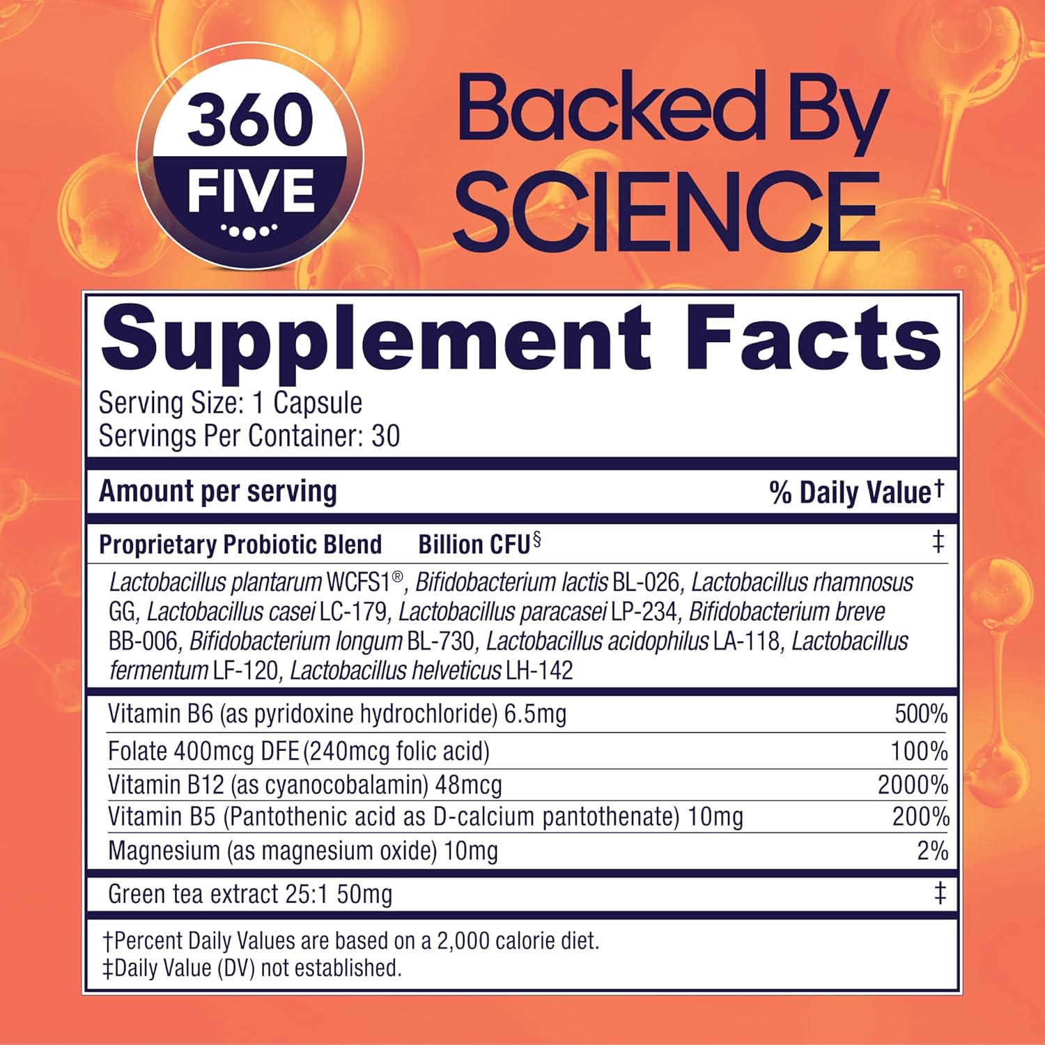 Bio360 Cognitive and Daily Probiotics Bundle - Brain and Gut Support, Memory, Focus, Digestion - 60 Vegan Supplements