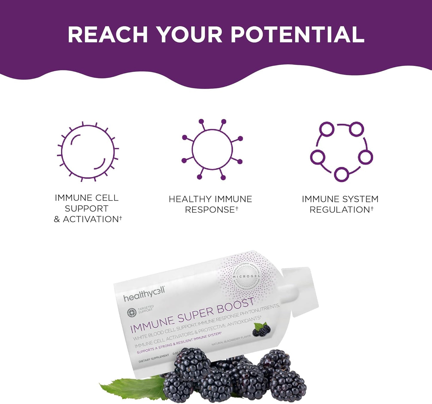 Bioactive Multi + Immune Super Boost Supplement Bundle for Men and Women - Maximum Absorption Liquid Supplements - 60 Gel Packs