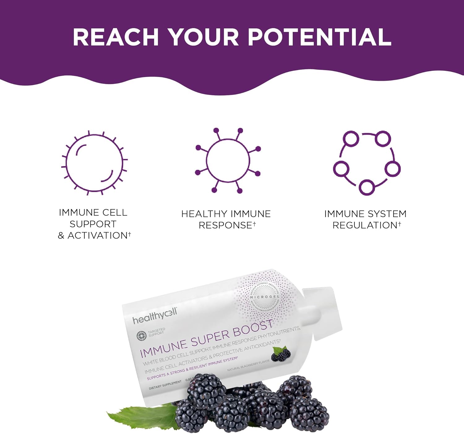 Bioactive Multi + Immune Super Boost Supplement Bundle for Men and Women - Maximum Absorption Liquid Supplements - 60 Gel Packs