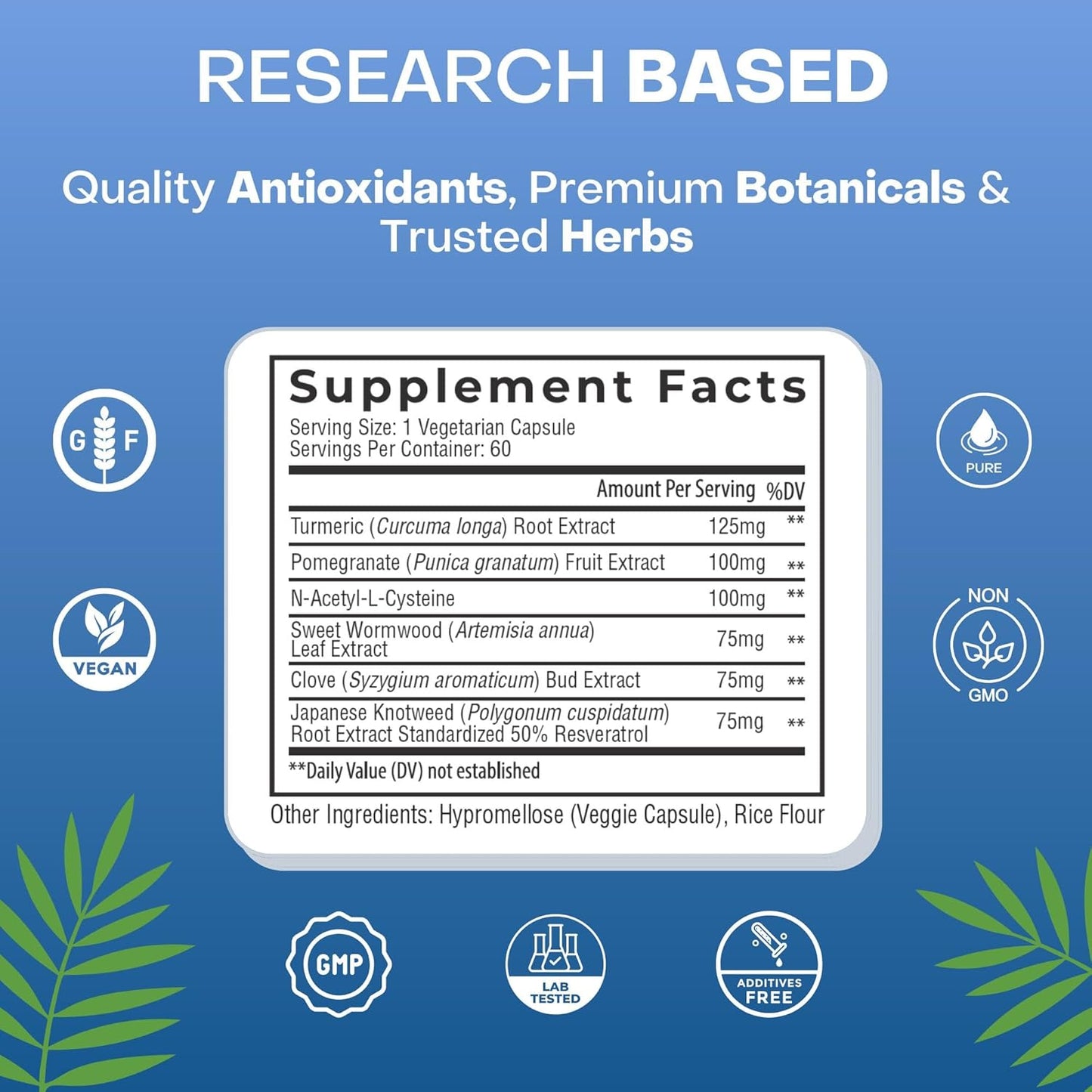 Biofilm Complex Supplement - 60 Capsules by Natural Cure Labs