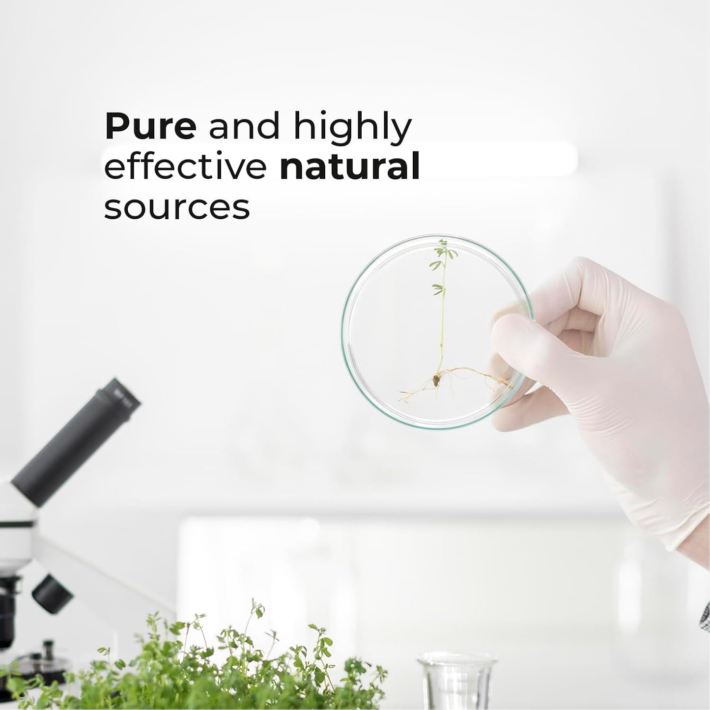 Biogenique Resveratrol 600mg Capsules - Powerful Antioxidants with Trans-Resveratrol from Polygonum Root Extract for Anti-Aging & Heart Health - 60 Count, Made in USA - Vegan, Non-GMO, Gluten Free