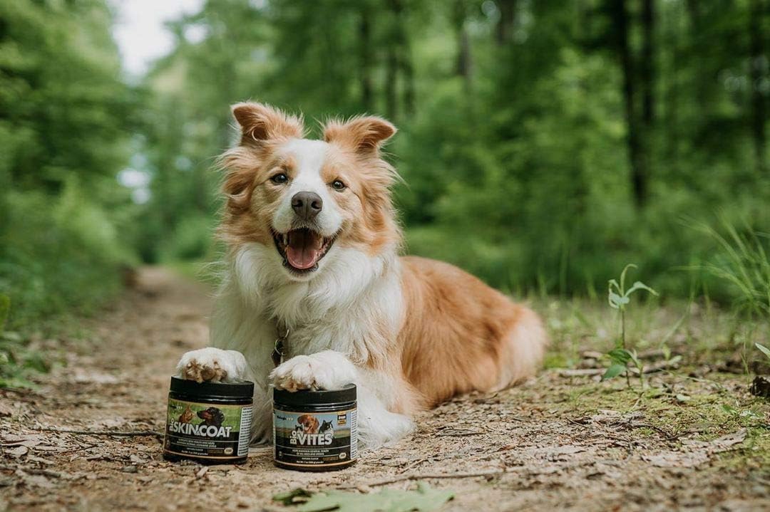 BiologicVET BioVITES Multivitamin Powder for Cats & Dogs, Supports Digestion & Immune System, 53-Day Supply, 30-lb. Animal, 14-oz. Powder