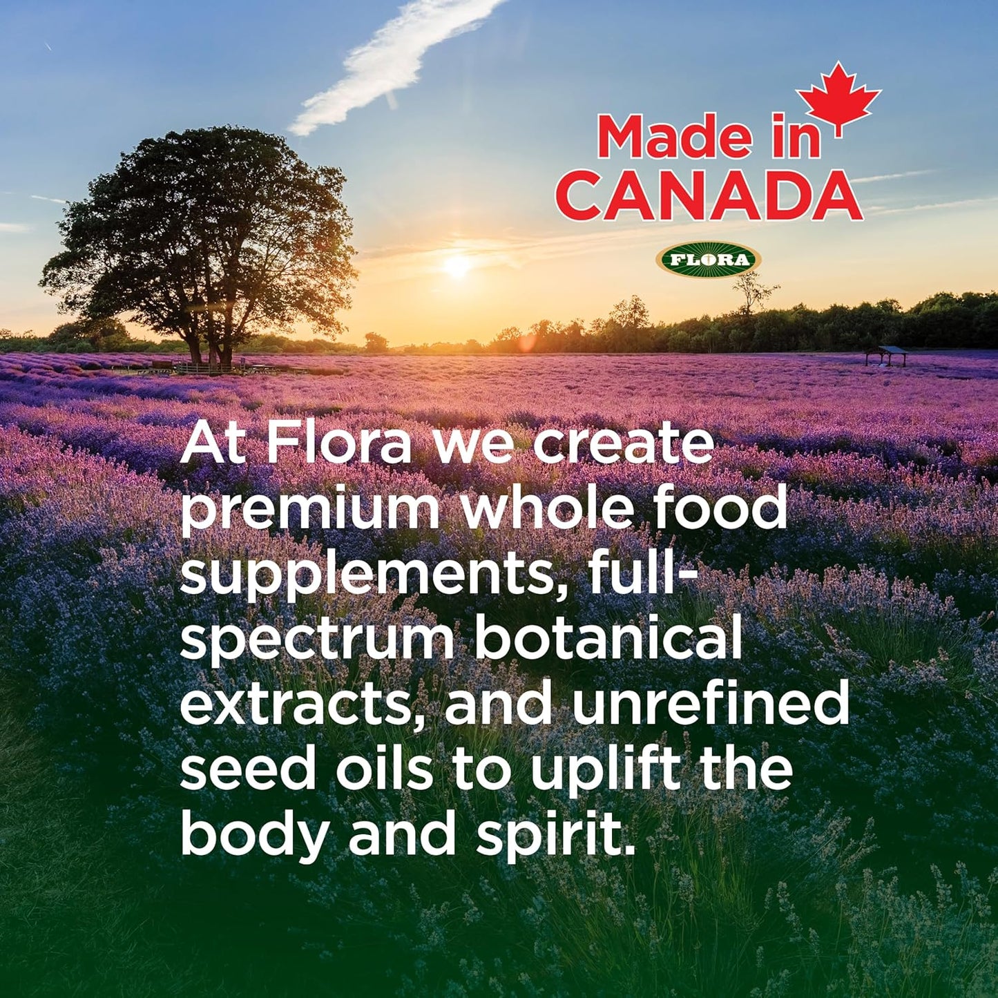 BiologicVET BioVITES Multivitamin Powder for Cats & Dogs, Supports Digestion & Immune System, 53-Day Supply, 30-lb. Animal, 14-oz. Powder