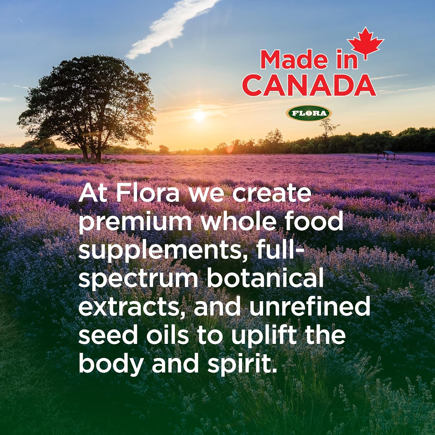 BiologicVET BioVITES Multivitamin Powder for Cats & Dogs, Supports Digestion & Immune System, 53-Day Supply, 30-lb. Animal, 14-oz. Powder