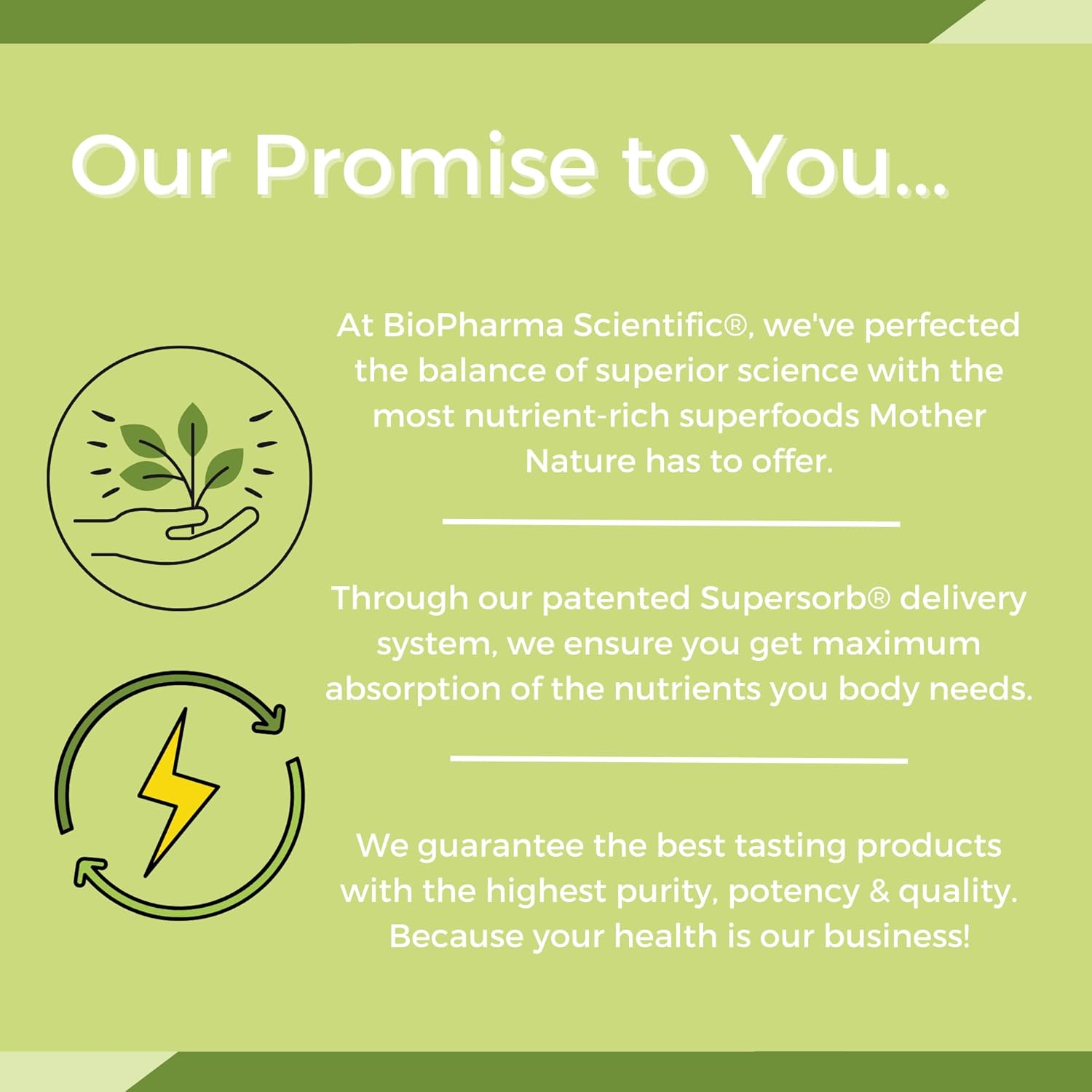 Biopharma Scientific NanoGreens Superfood Powder with Spirulina, Chlorella, Kale, Spinach - Digestive Health & Immunity Support, Plant-Based, Strawberry Flavor - 30 Servings