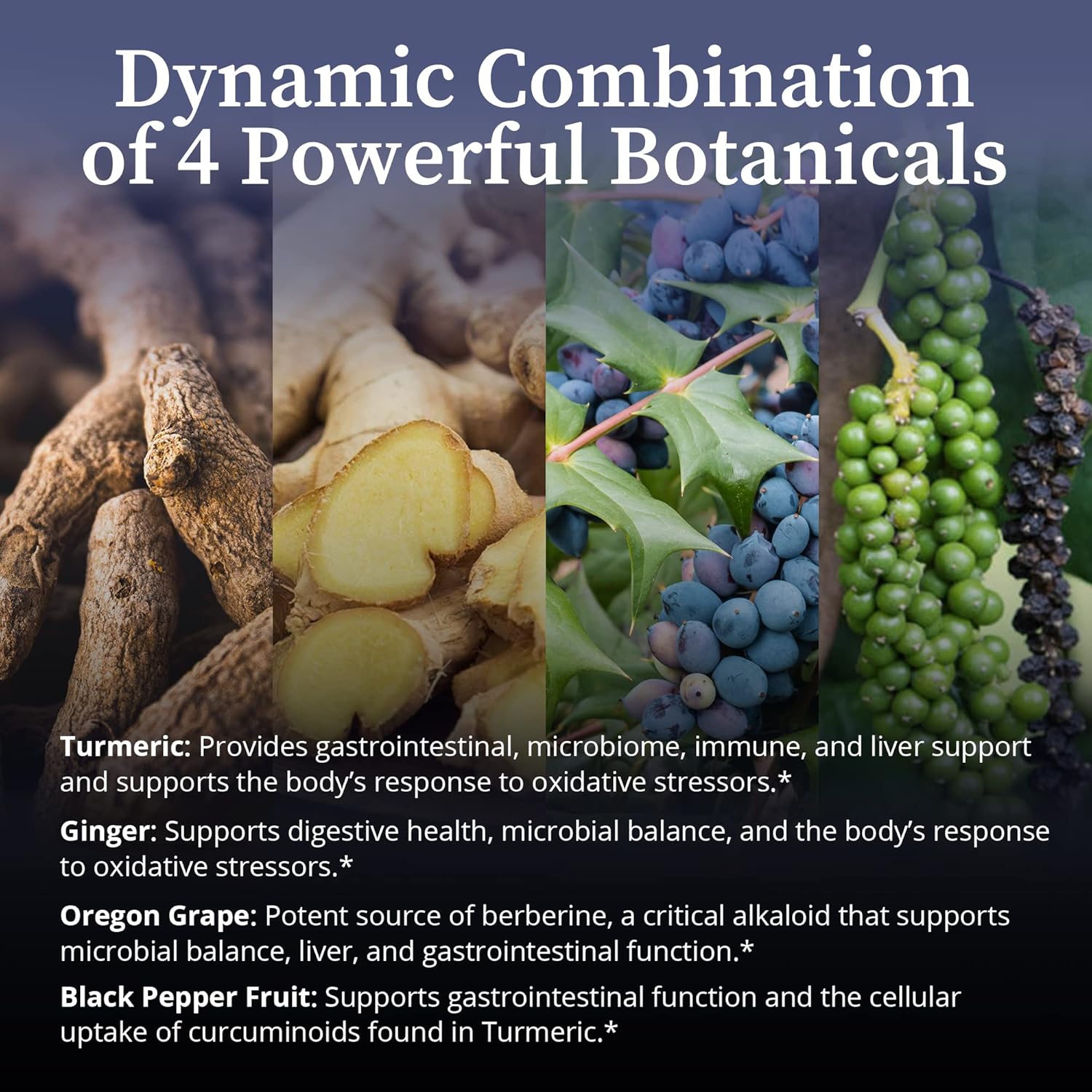 BioPure CurcuSyn Capsules - Turmeric, Ginger, Black Pepper & Grape Curcumin Supplement for Microbiome, GI, Immune System, Liver Health & Wellness