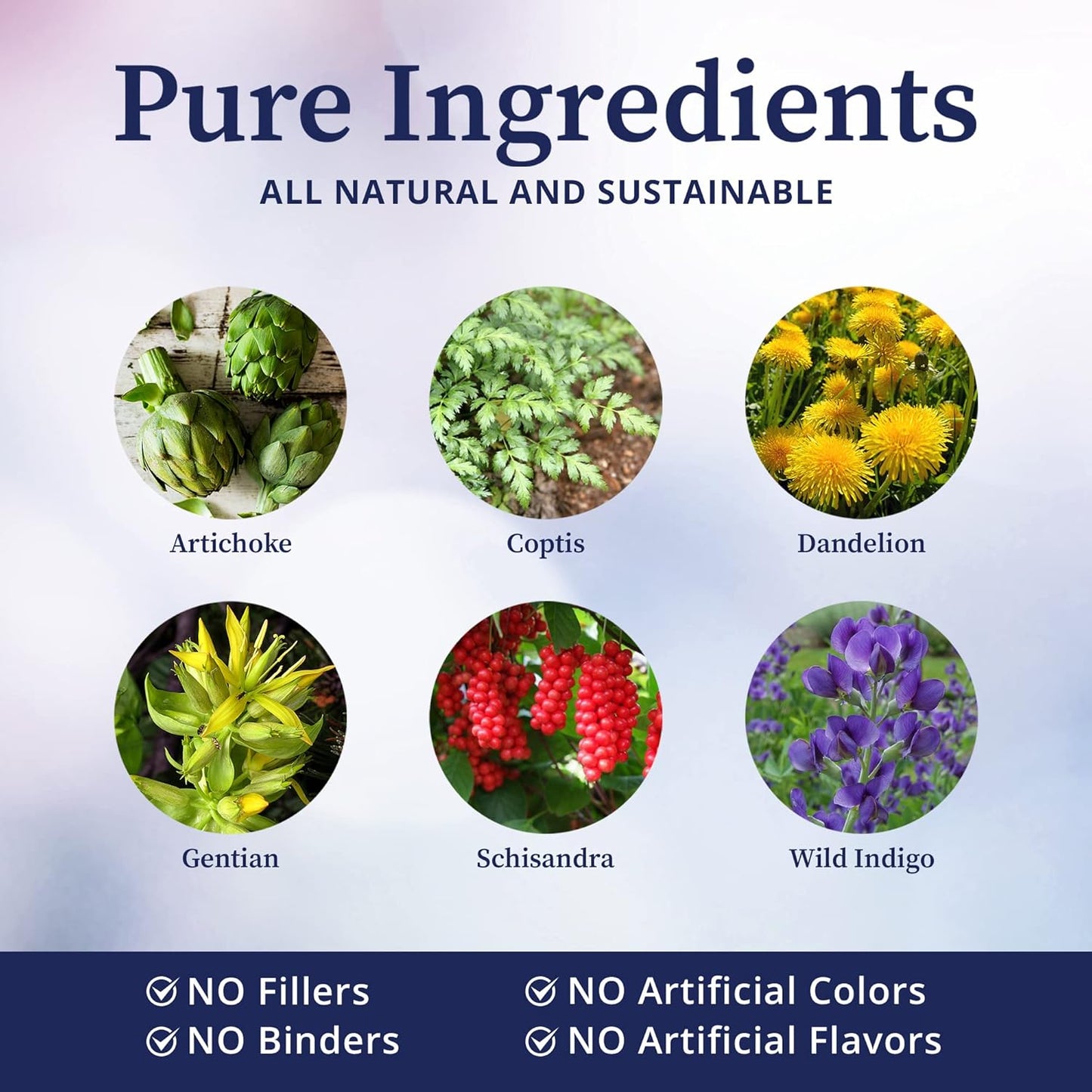 BioPure Livessence Herbal Tincture - Natural Liver Support Formula with 6 Botanical Extracts & Liposomes for Detox & Gut Health - 4 fl oz