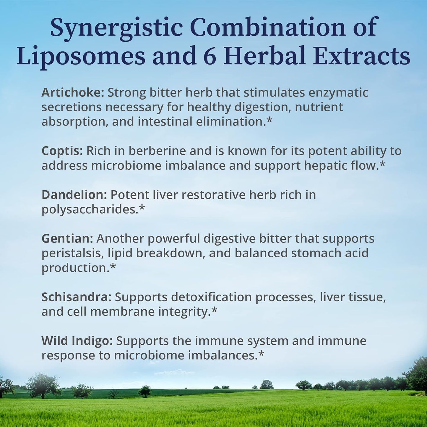 BioPure Livessence Herbal Tincture - Natural Liver Support Formula with 6 Botanical Extracts & Liposomes for Detox & Gut Health - 4 fl oz