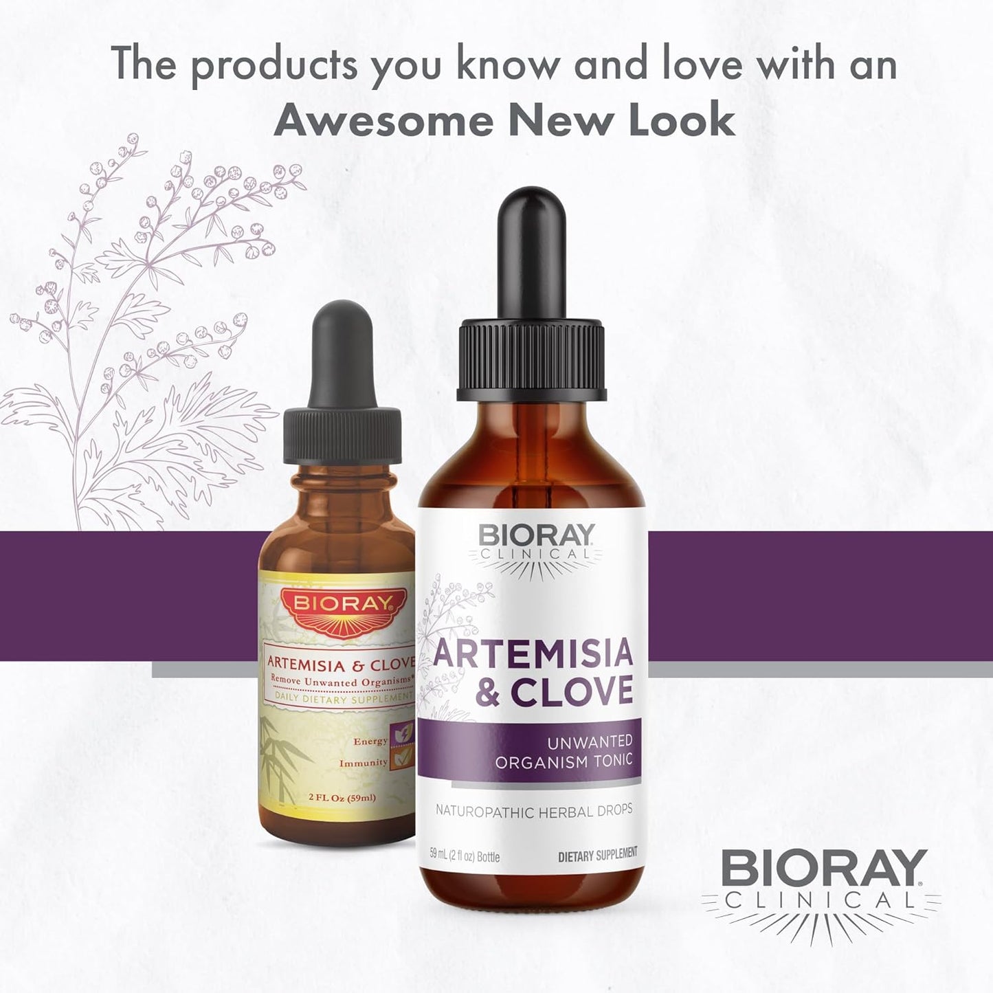 BIORAY Professional Artemisia & Clove Tincture - 2 fl oz - Supports Unwanted Organism Removal with Medicinal Mushrooms - Non-GMO, Vegetarian, Gluten Free