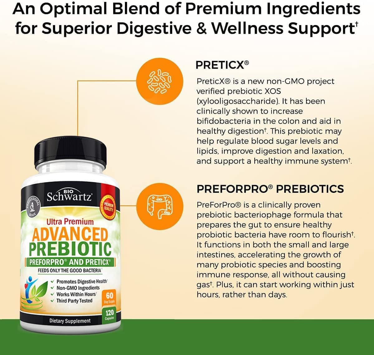 BioSchwartz Advanced Prebiotic and Probiotic Bundle - 2 Month Supply with 40 Billion CFU Daily Support