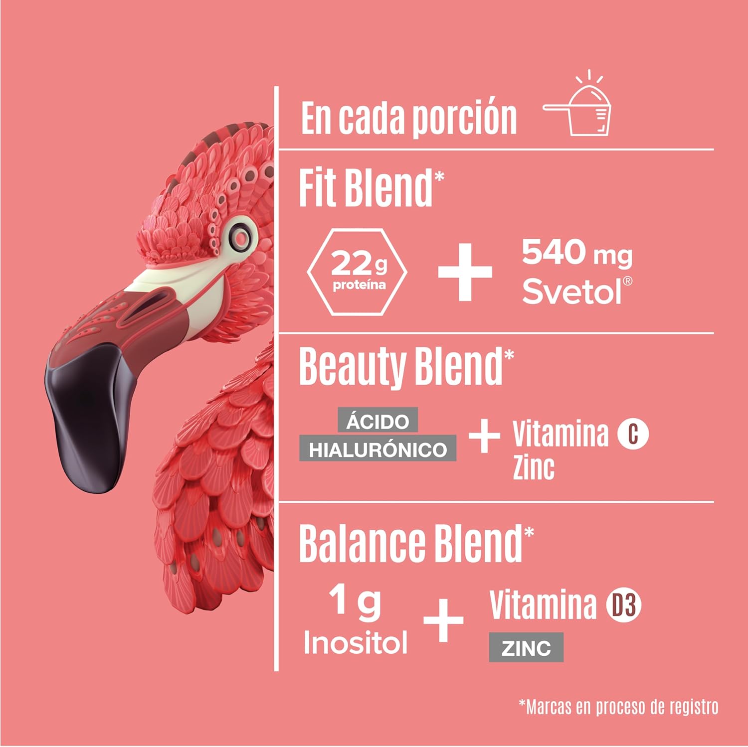 Birdman Fitmingo Vegan Protein Powder with Inositol, Collagen Boosters, and Vitamins - Plant Based Mocha Protein Powder with Myo-Inositol - Low Carb, Dairy Free, Low Calorie