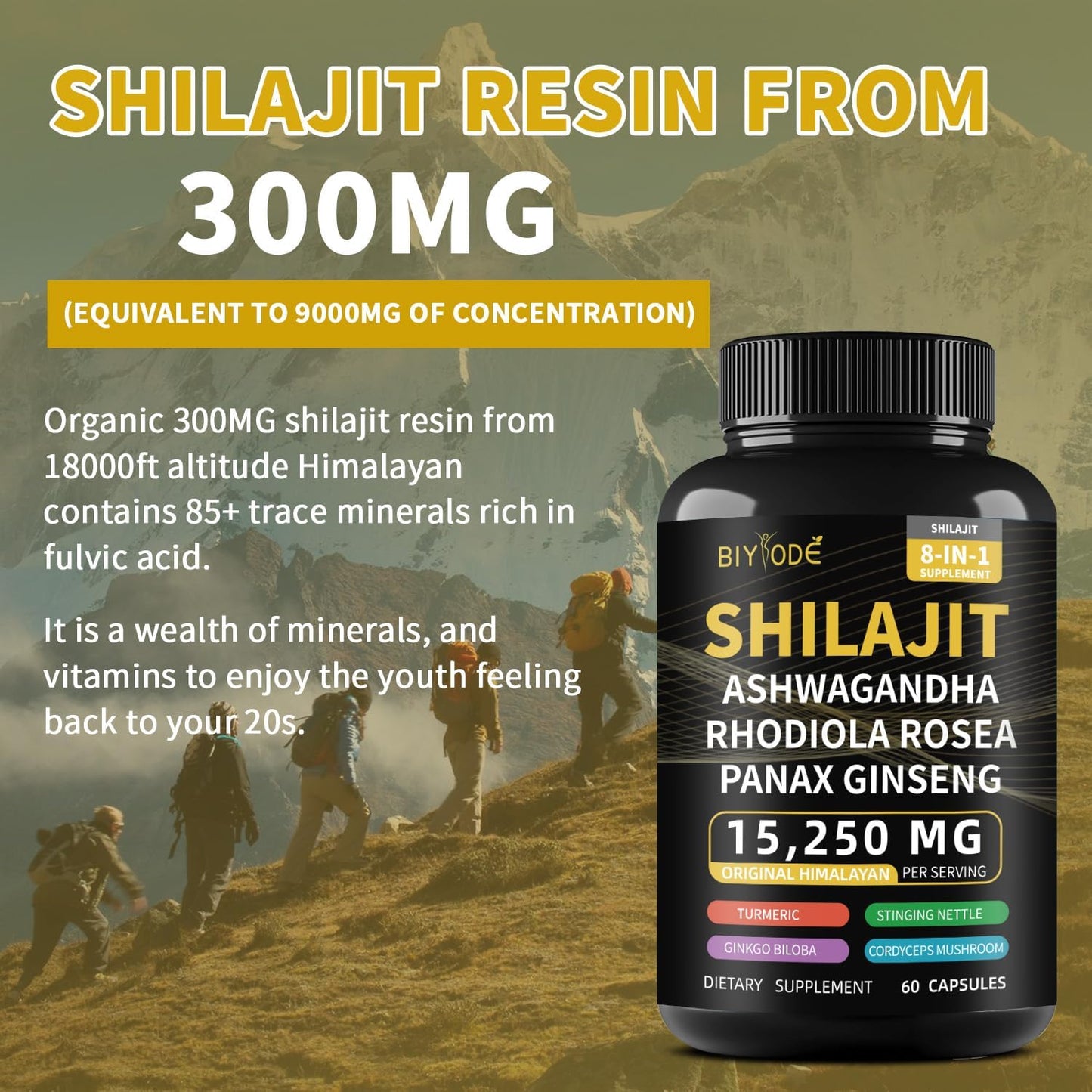 BIYODE 8-in-1 Shilajit Capsules for Men with Powerful Herbal Ingredients - 60 Capsules for 30 Days