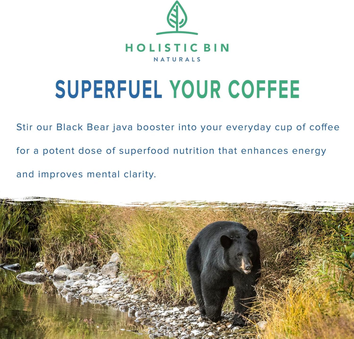 Black Bear Holistic Bin Organic Mushroom Coffee Java Booster with Tongkat Ali, Black Maca, and Nordic Chaga - Energy Supplements for Women and Men