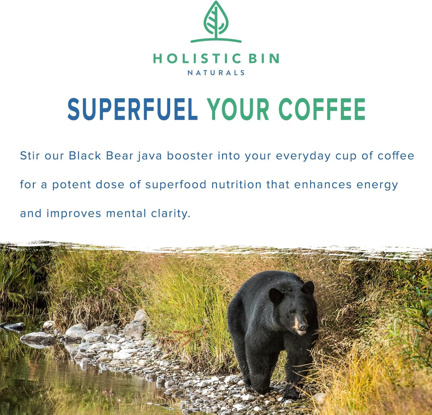 Black Bear Holistic Bin Organic Mushroom Coffee Java Booster with Tongkat Ali, Black Maca, and Nordic Chaga - Energy Supplements for Women and Men