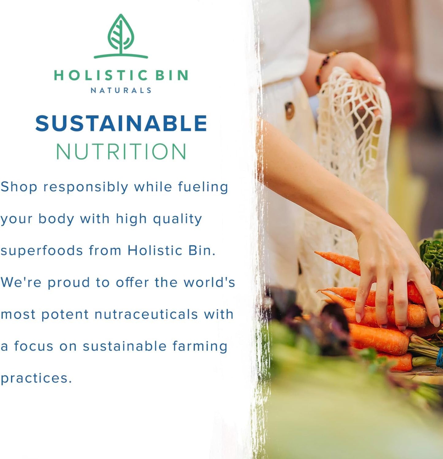 Black Bear Holistic Bin Organic Mushroom Coffee Java Booster with Tongkat Ali, Black Maca, and Nordic Chaga - Energy Supplements for Women and Men