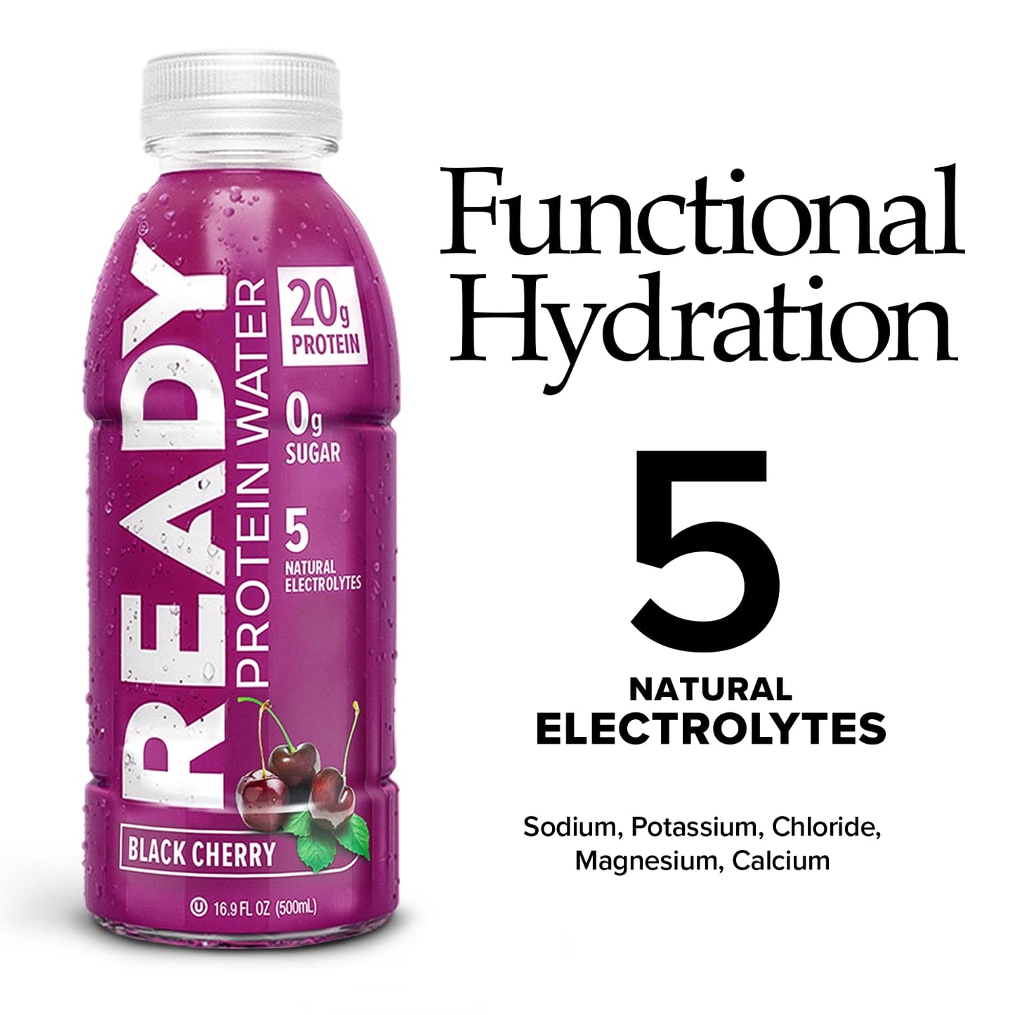 Black Cherry Sugar-Free Protein Water, 20g Whey Isolate, 12-Pack, 16.9oz Each