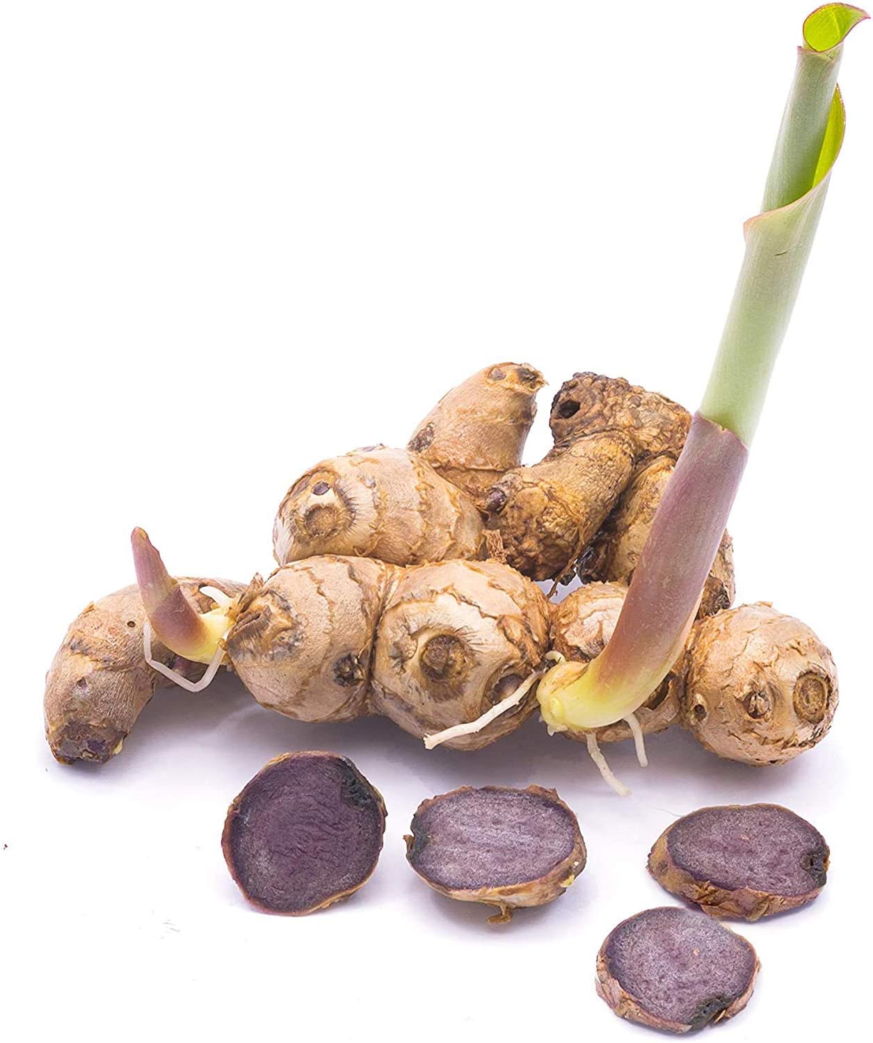 Black Ginger Capsules 450mg - Kaempferia Parviflora Supplement for Energy & Performance - 500 Count Vegan & Paleo Formula