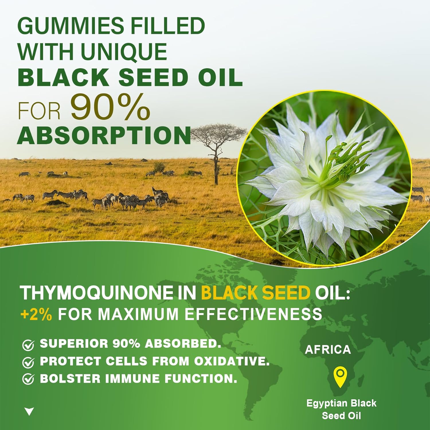 Black Seed Oil Gummies with Chlorophyll, Sea Moss, Digestive Enzymes, and Probiotics - 90 Billion CFU