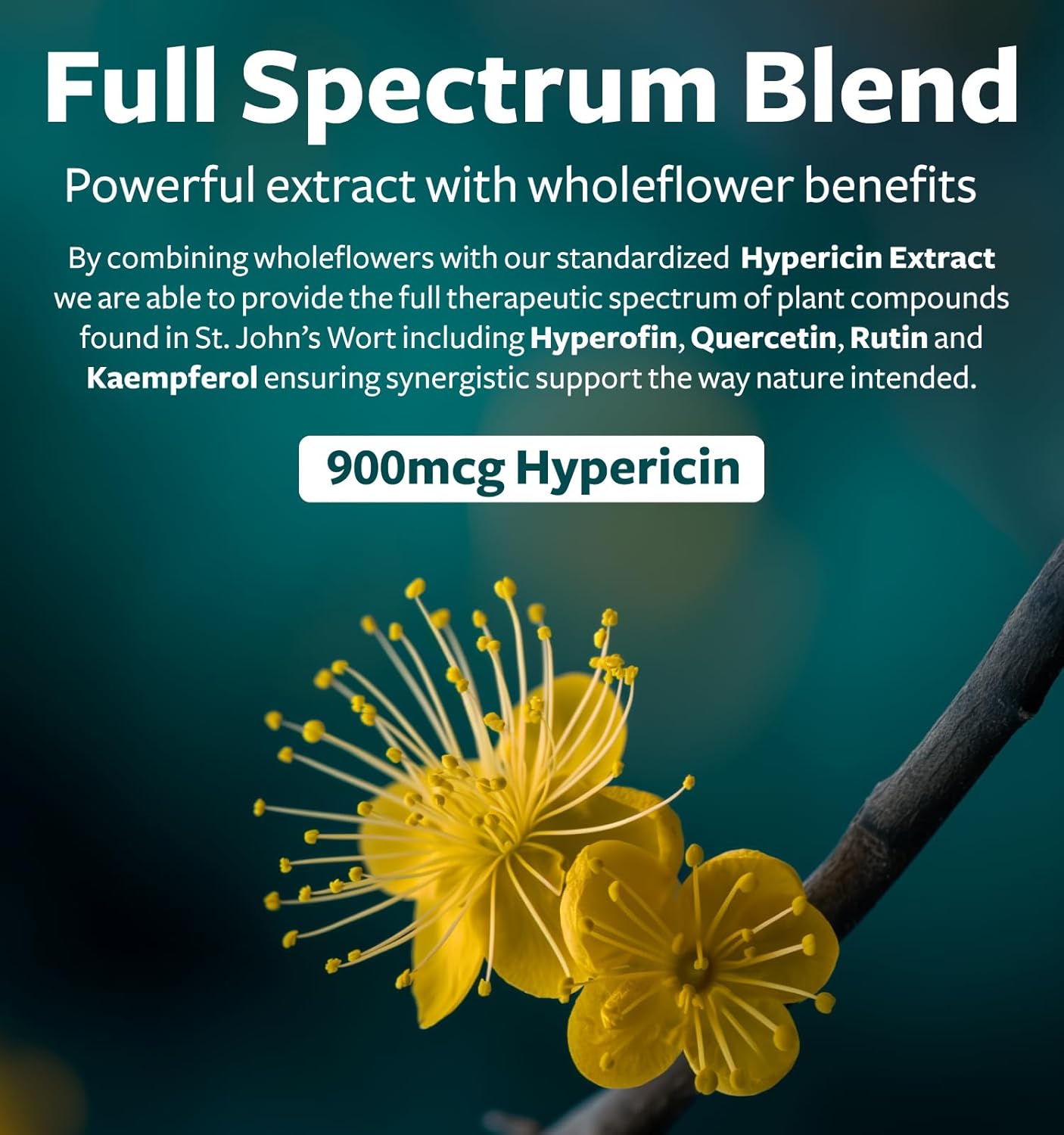 Black Seed Oil & St. John's Wort Serene Blend Bundle - 1 Month Supply - 60 Capsules- Cold-Pressed Nigella Sativa - Powerful 900mcg Hypericin