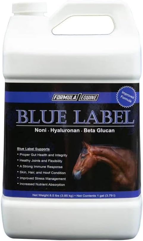 Blue Label Gallon by SNS GROUP LLC: High-Quality Industrial Paint Solution for Professionals