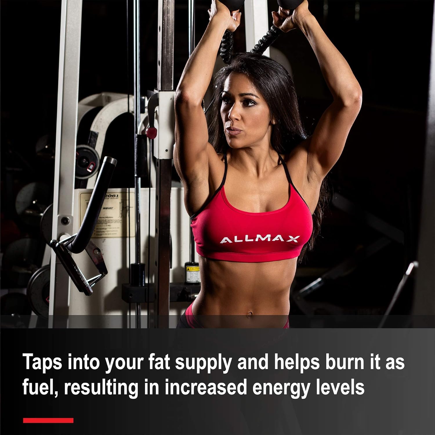 Blue Raspberry Flavored ALLMAX Nutrition Liquid L-Carnitine 1500 - 16 oz (473 ml) Bottle