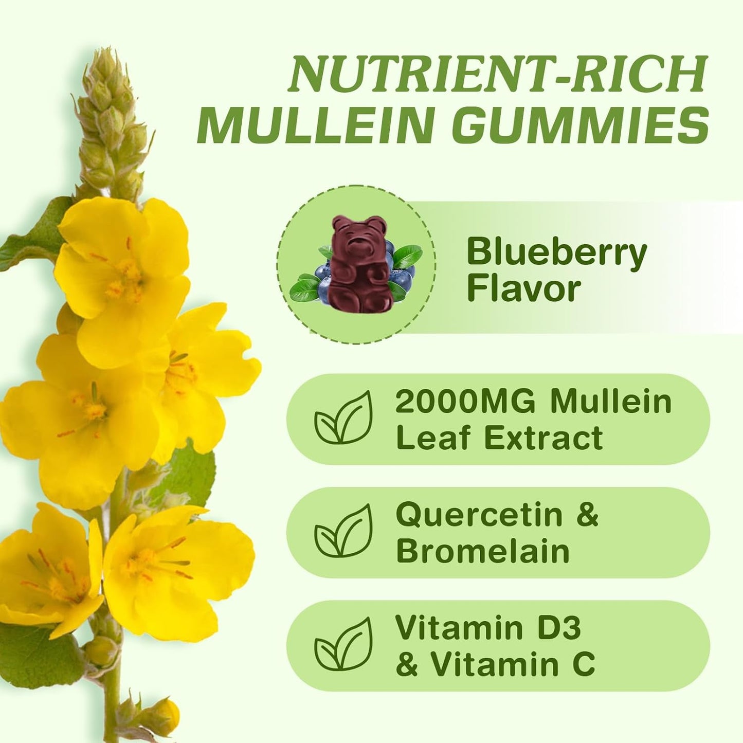 Blueberry Flavored Mullein Leaf Gummies with Bromelain & Quercetin - Sugar-Free Lung Cleanse & Immune Support - 60 Count