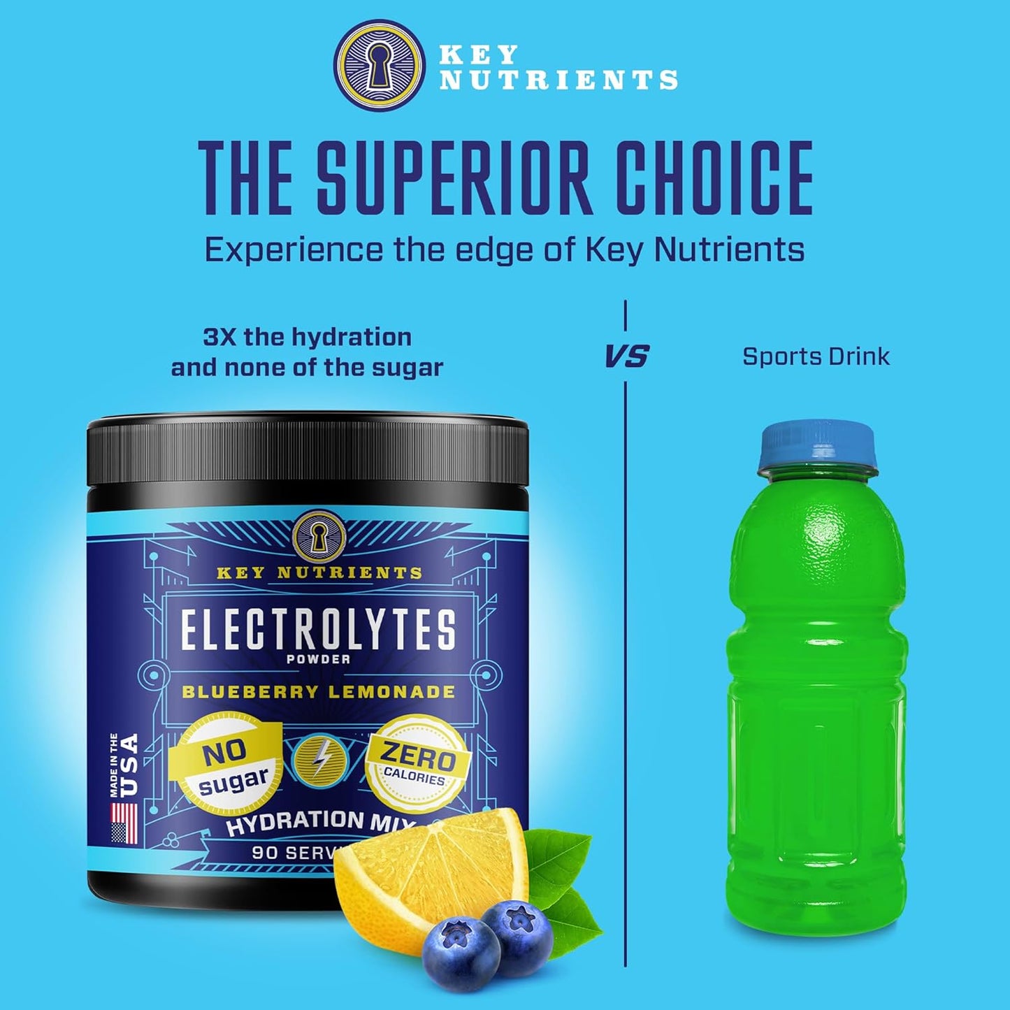 Blueberry Lemonade Electrolyte Powder with Key Nutrients - Sugar-Free Hydration Supplement for Endurance & Energy - 90 Servings Made in USA