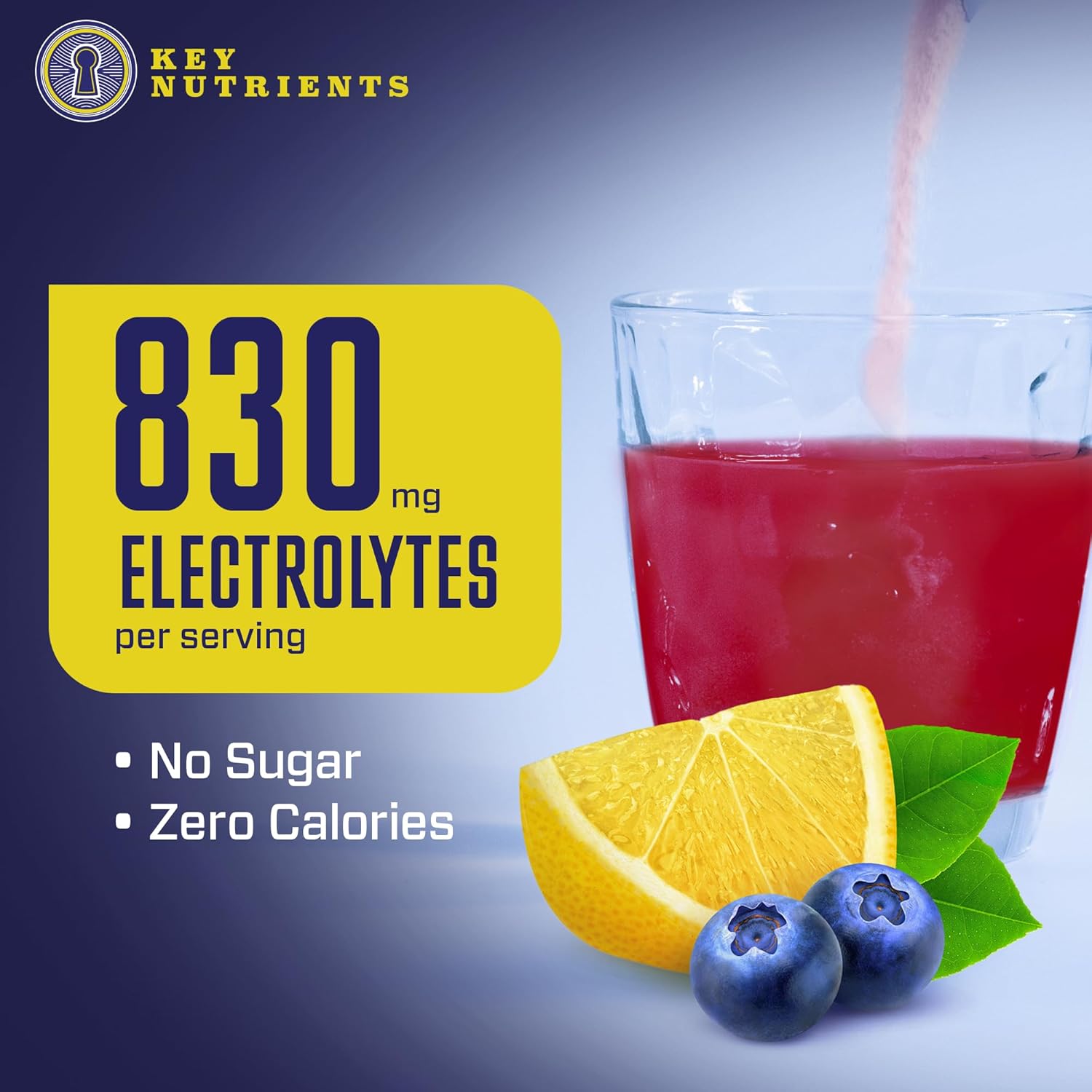 Blueberry Lemonade Electrolyte Powder with Key Nutrients - Sugar-Free Hydration Supplement for Endurance & Energy - 90 Servings Made in USA