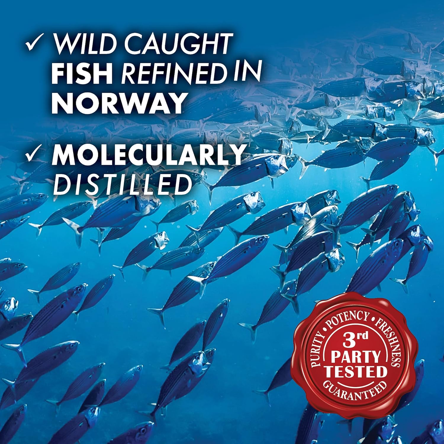 Bluebonnet EPAX Omega-3 Heart Formula SoftGels - 120 Count, 1000 mg