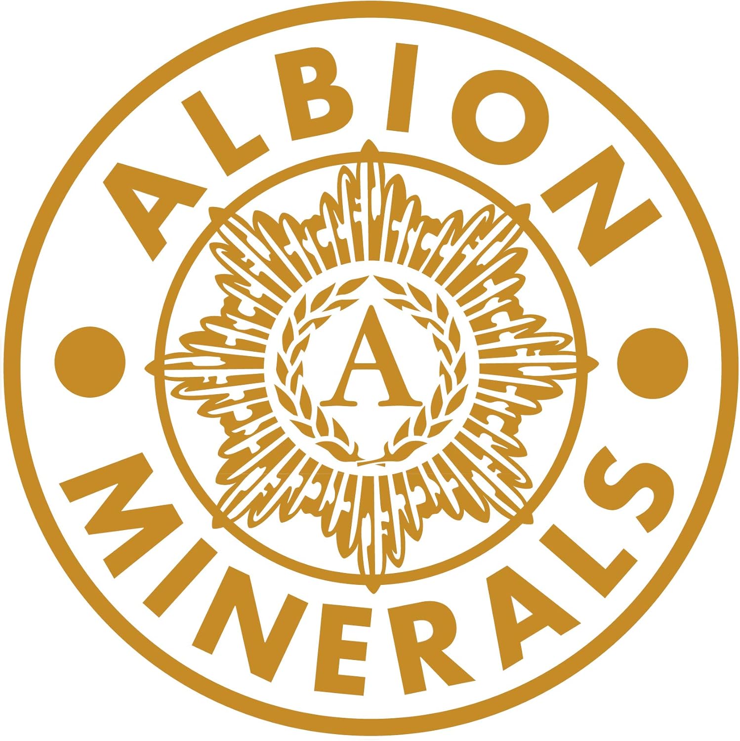 Bluebonnet Nutrition Albion Chelated Zinc Capsules - Immune & Enzyme Support, Soy-Free, Gluten-Free, Non-GMO - 90 Servings - BoostGo Australia