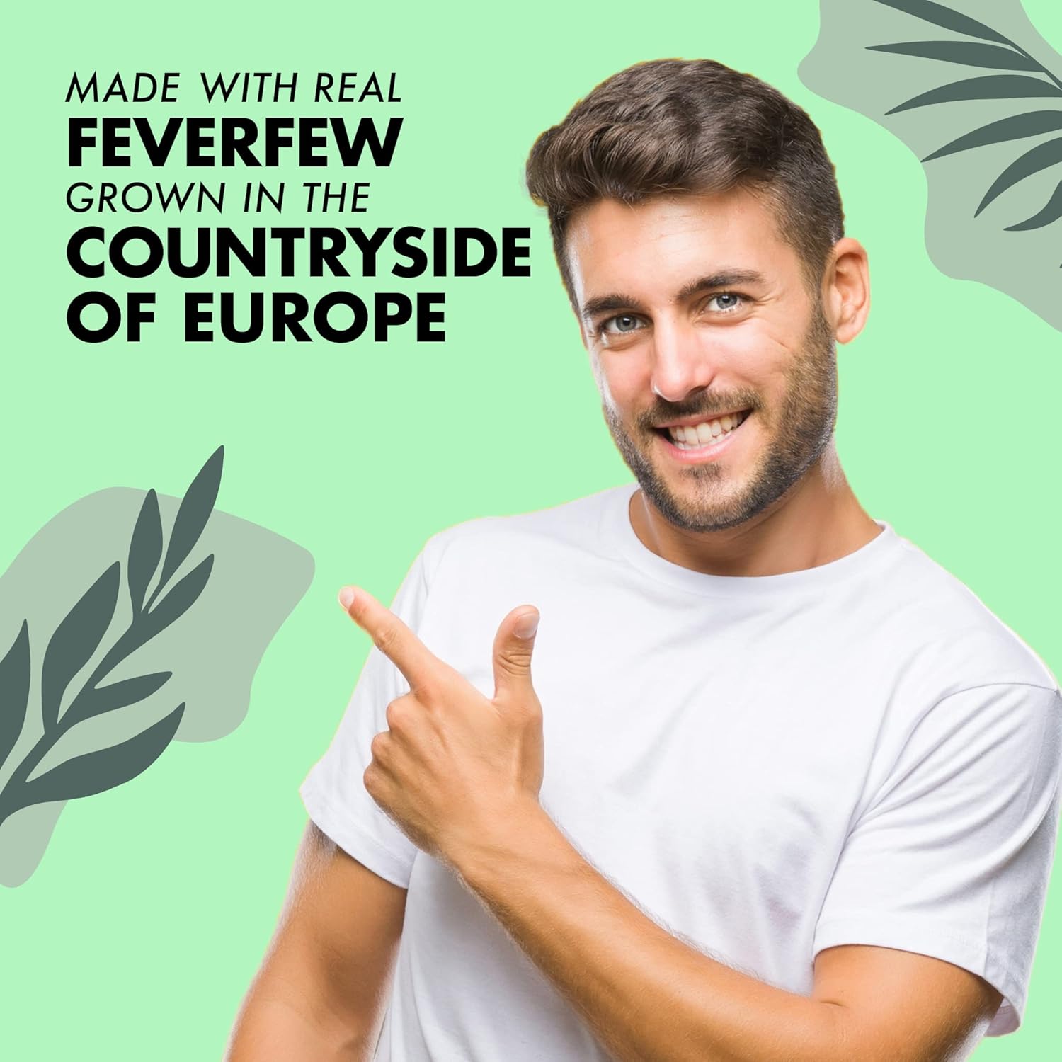 Bluebonnet Nutrition Feverfew Leaf Extract Capsules - Immune & Head Comfort Support - Gluten-Free, Soy-Free, Kosher, Non-GMO, Vegan - 60 Servings