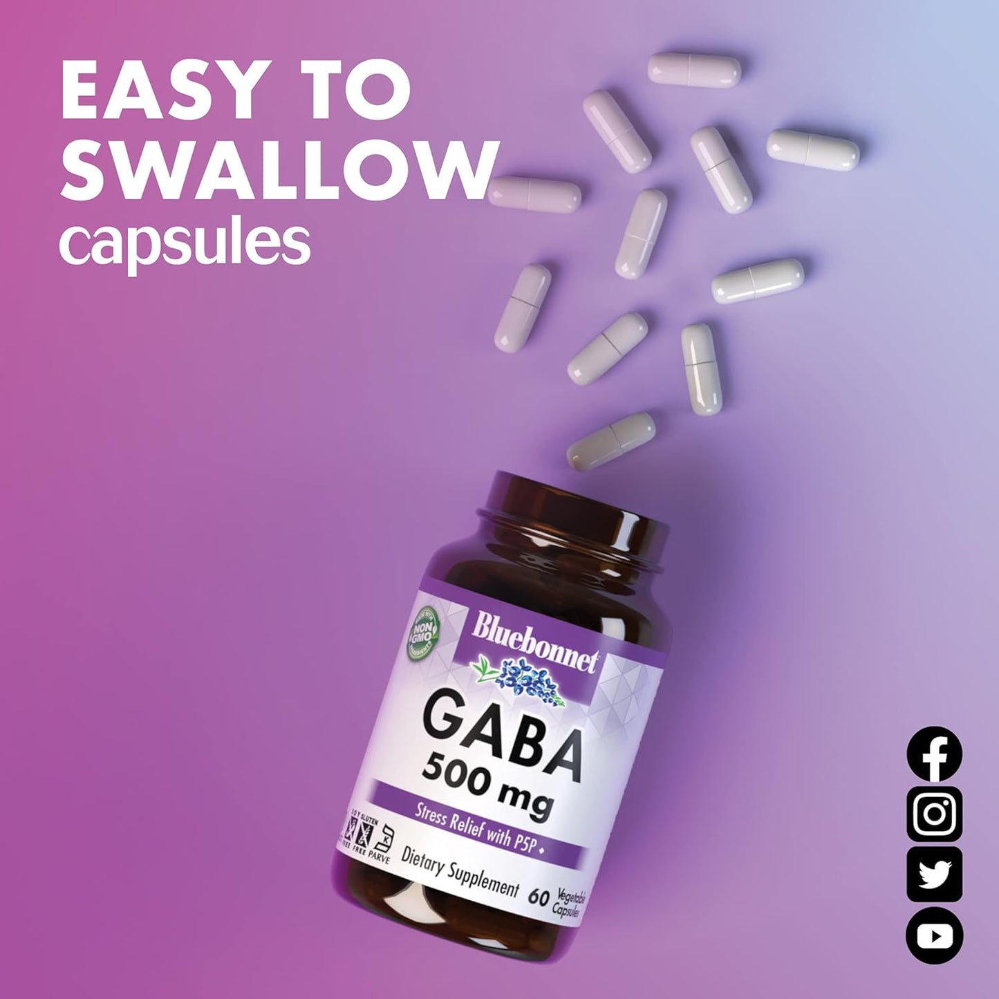 Bluebonnet Nutrition GABA 500mg Capsules - Stress Relief & Relaxation Support - Kosher, Vegan, Gluten-Free, Soy-Free, Non-GMO - 60 Count